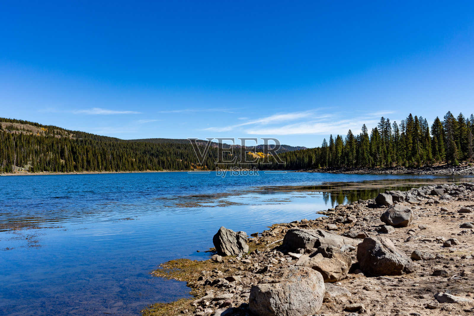 大表照片摄影图片