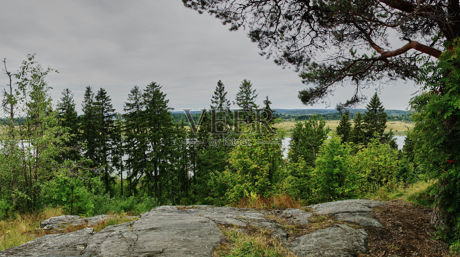 从高处俯瞰卡累利阿的自然全景照片摄影图片