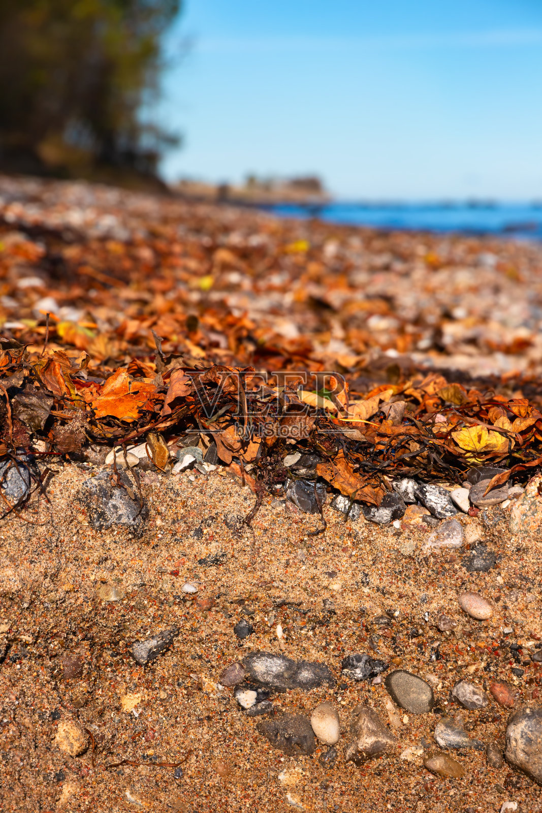 波罗的海费马恩岛卵石沙滩照片摄影图片