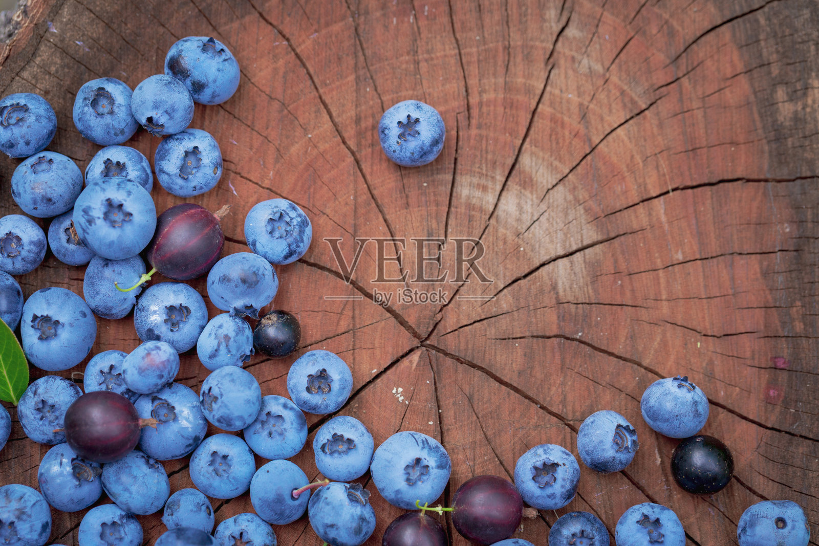 新鲜采摘的蓝莓和醋栗在花园的树桩上。多汁和新鲜的蓝莓在乡村木质表面。健康饮食和营养的概念。照片摄影图片
