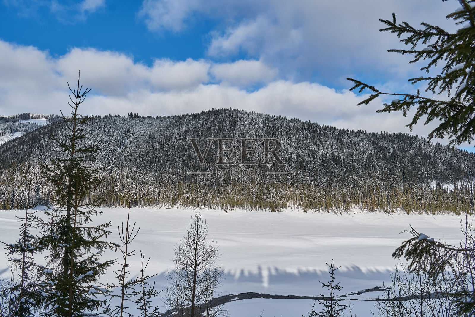 冬季景观从山上有冷杉林，雪和蓝天与白云照片摄影图片