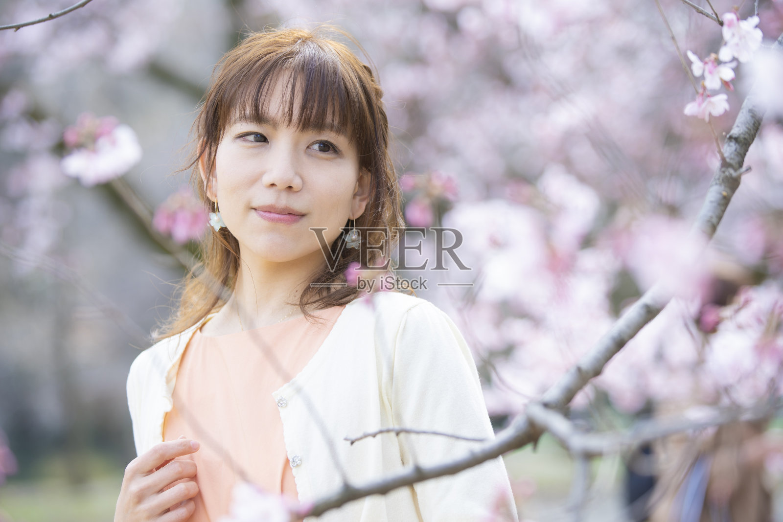 樱花树下的肖像照照片摄影图片