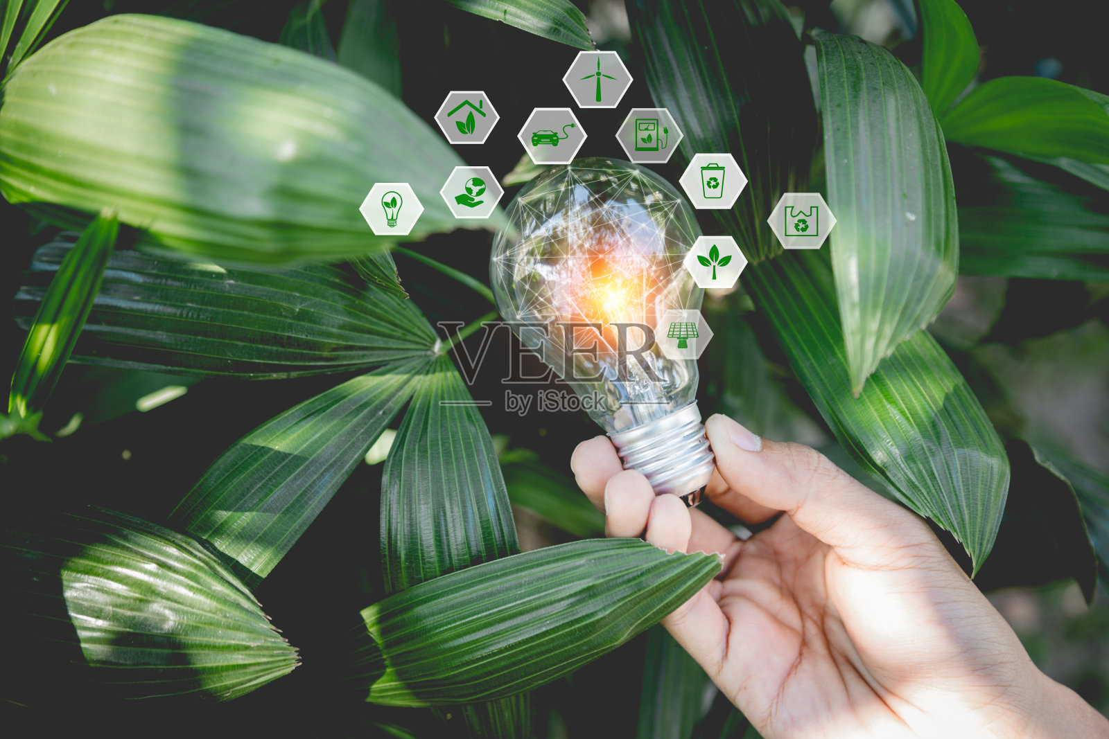 手持灯泡，展示可再生能源图标，体现热爱世界理念照片摄影图片