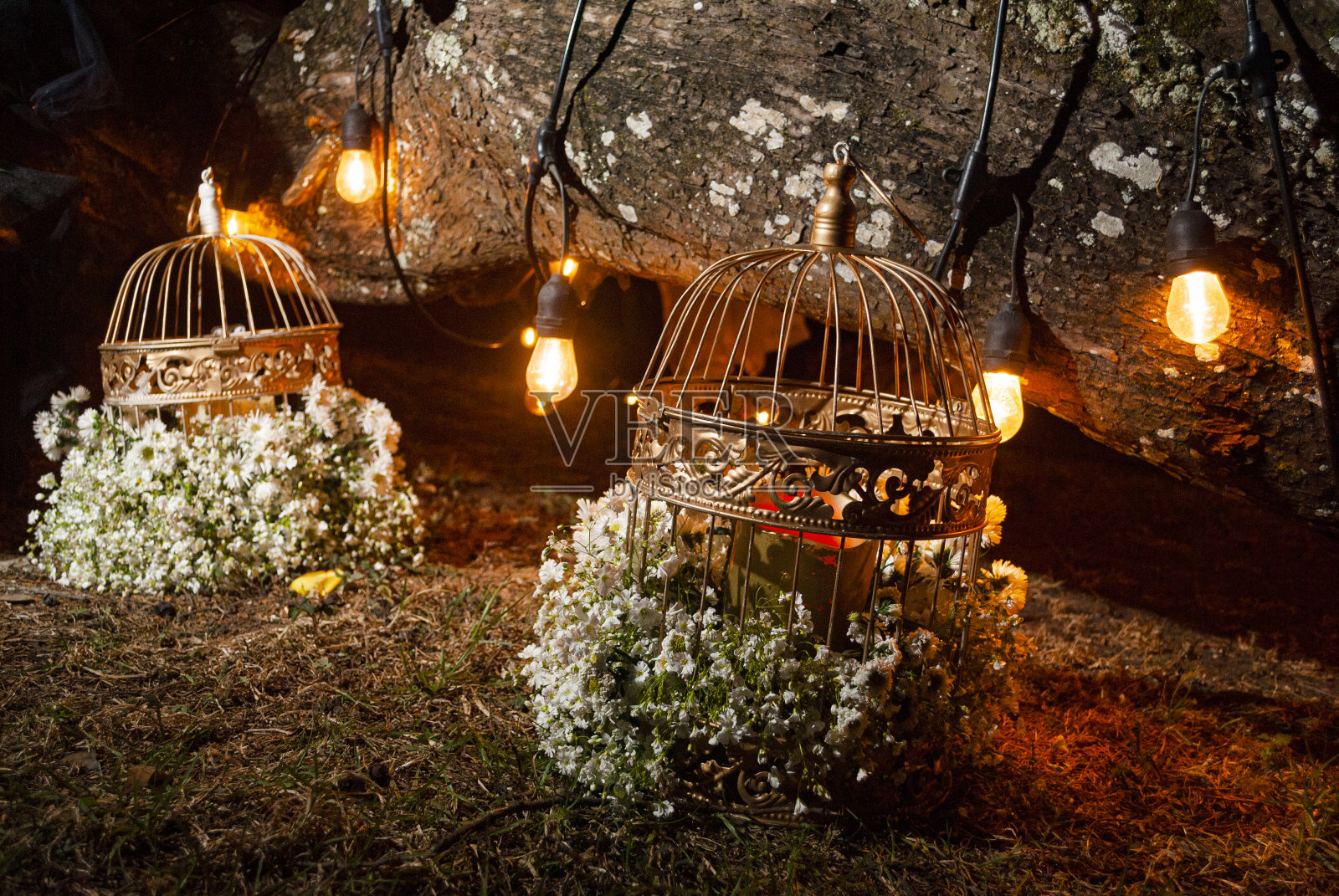 夜间插花，暴露在户外，周围是人造光，笼子放在地板上。照片摄影图片
