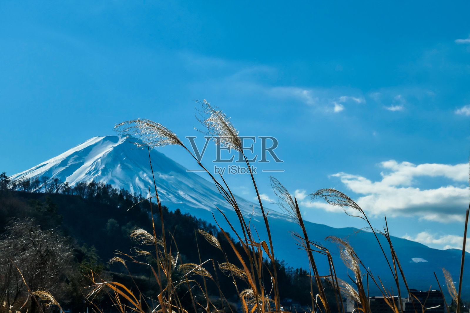 日本——从川口千子湖近距离观看富士山照片摄影图片