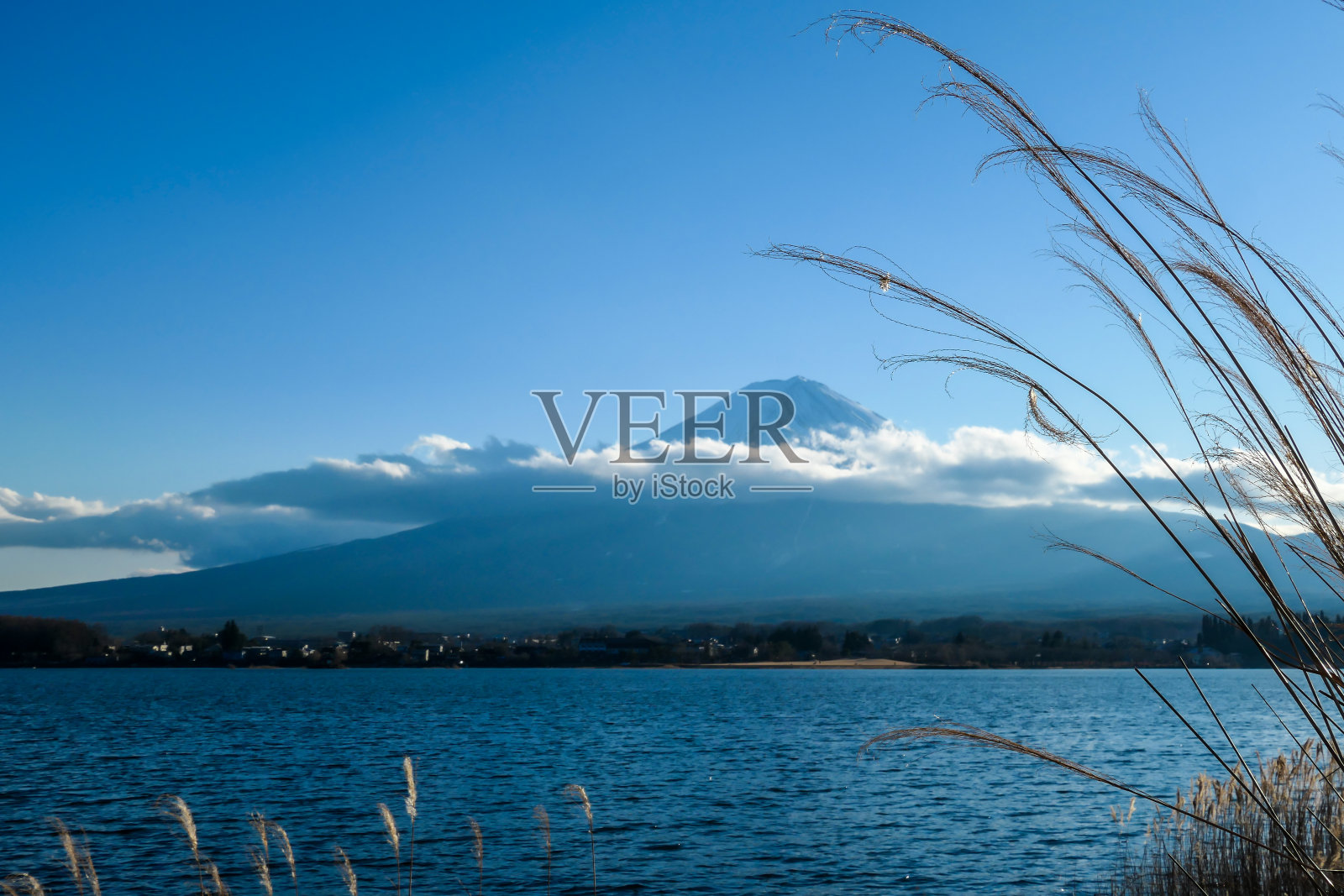 日本——从川口湖眺望富士山的田园诗般的景色照片摄影图片