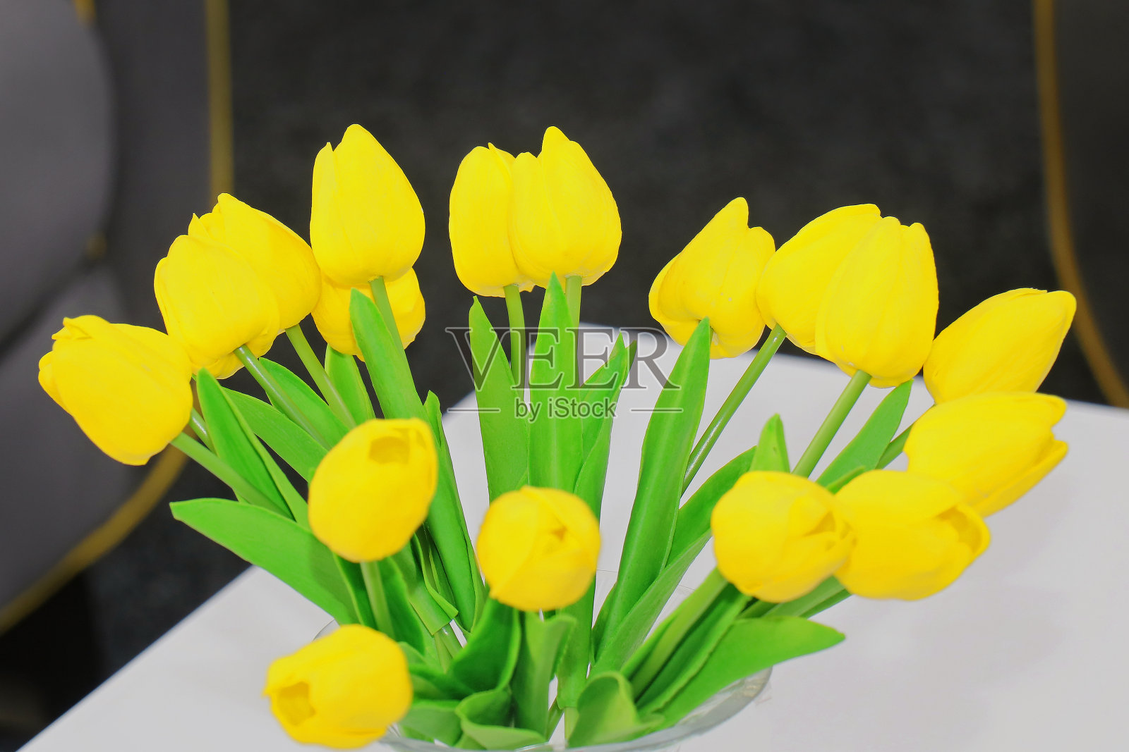 鲜艳的黄色郁金香花照片摄影图片