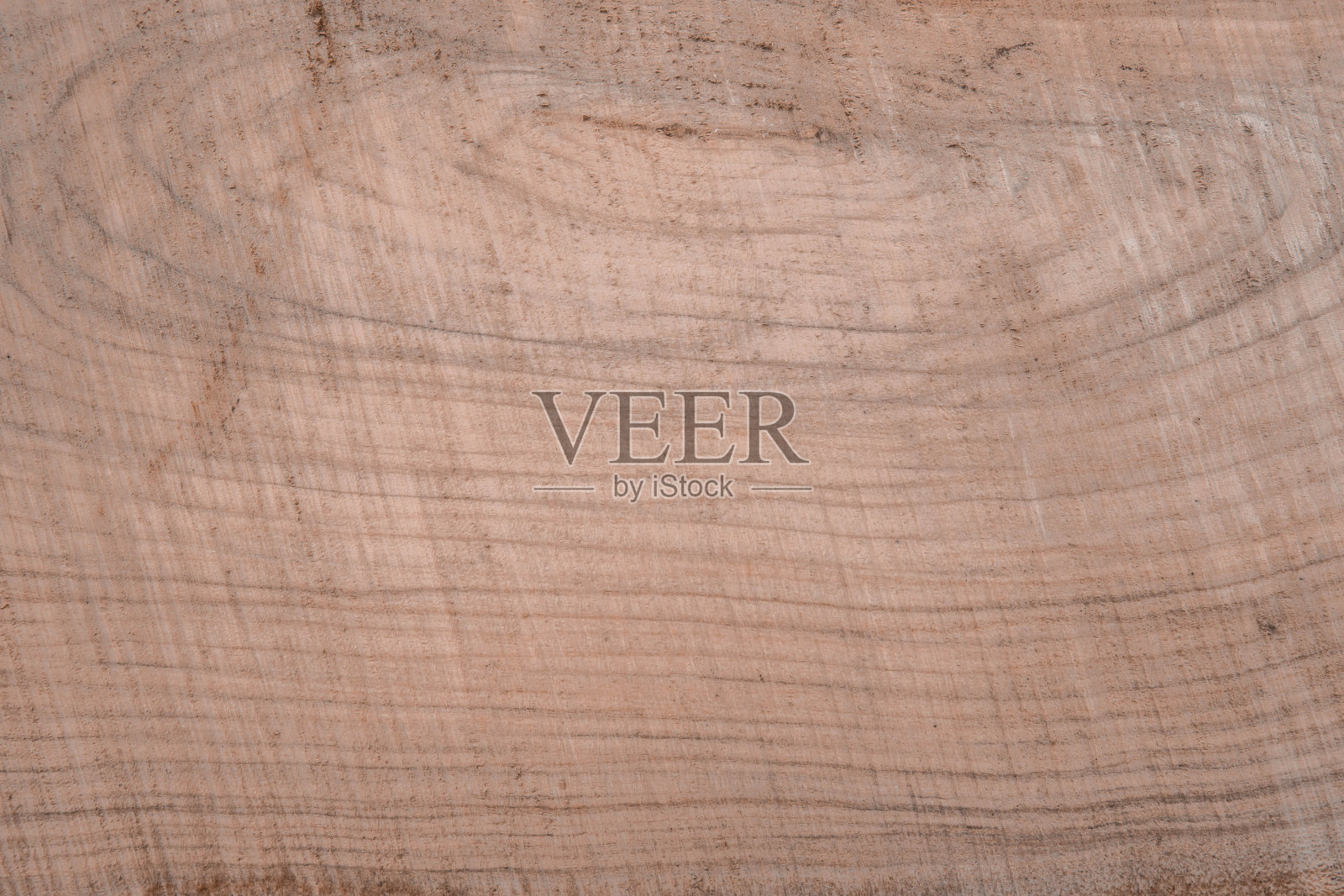 美丽的背景在风格上一棵树和一棵树在一个切片很接近照片摄影图片