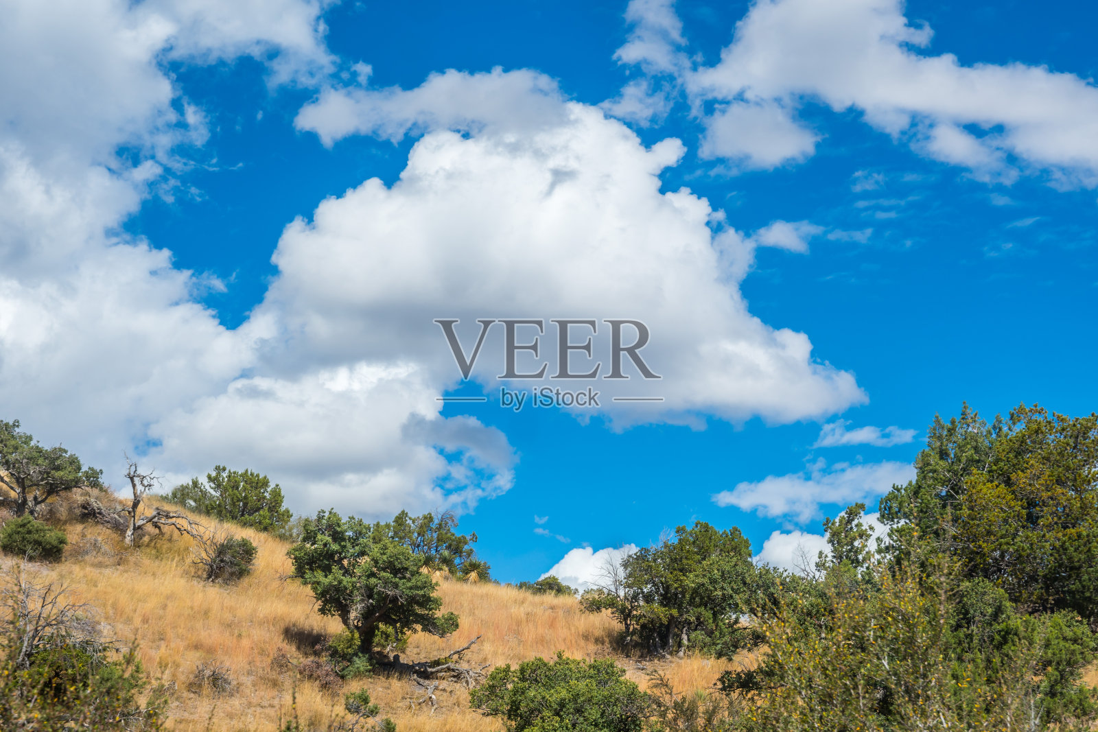 亚利桑那州本森美丽的自然景观照片摄影图片