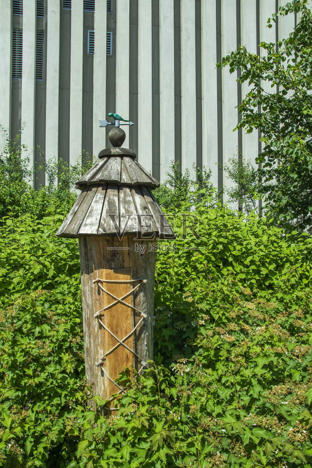 市中心现代建筑屋顶上的蜂箱照片摄影图片