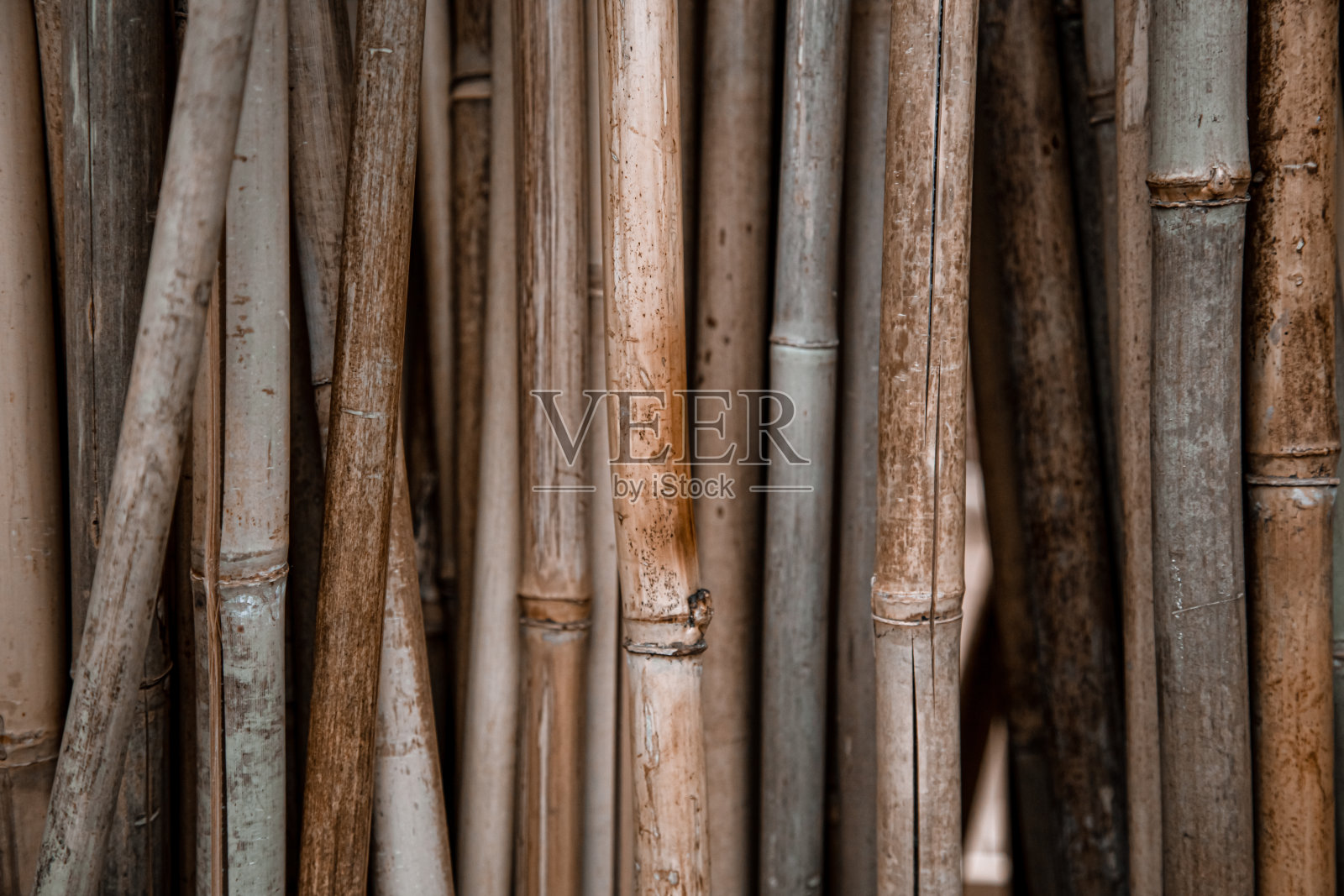 自然的背景，有很多竹竿。照片摄影图片