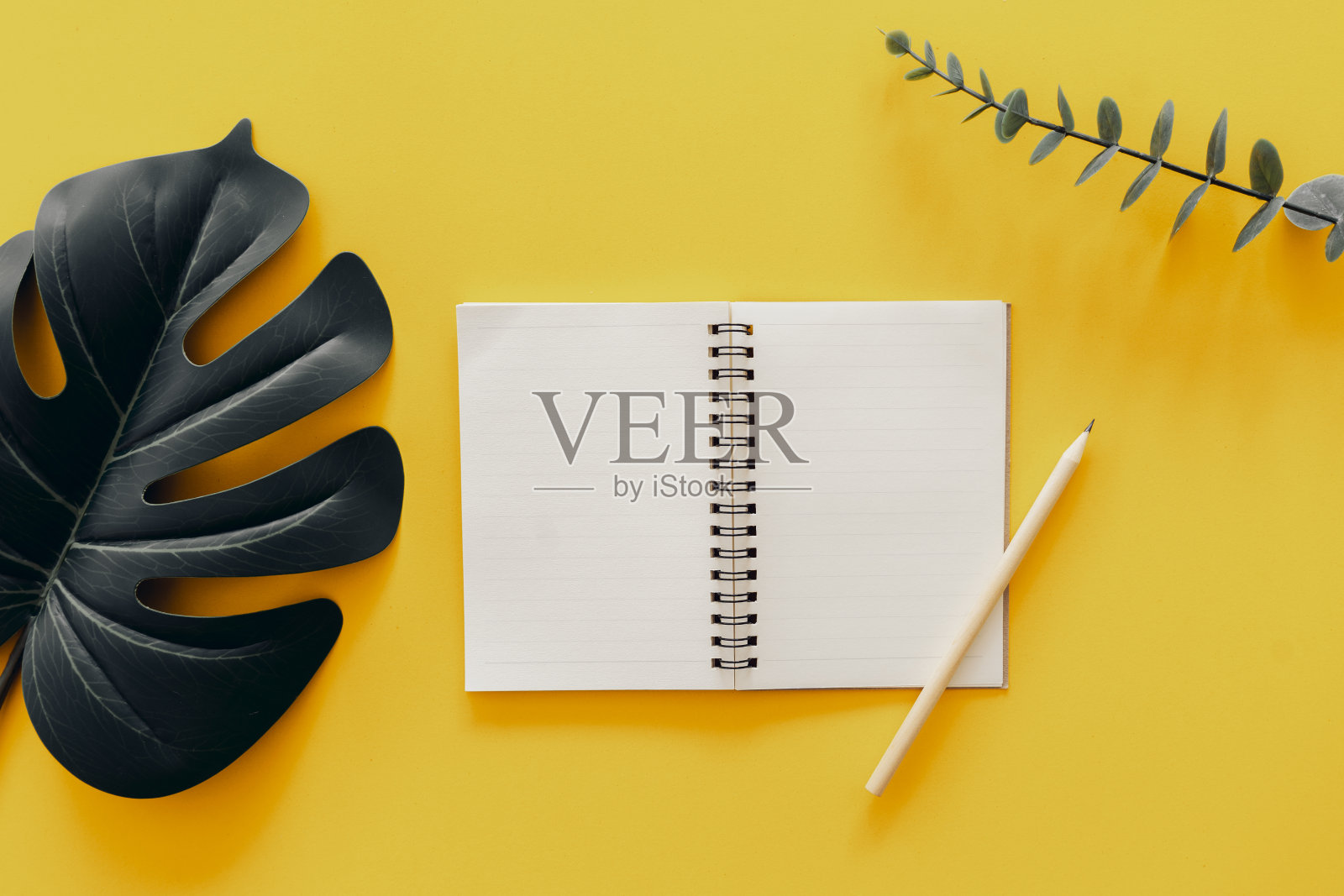 热带绿叶和笔记本与铅笔黄色墙壁纹理抽象背景。照片摄影图片