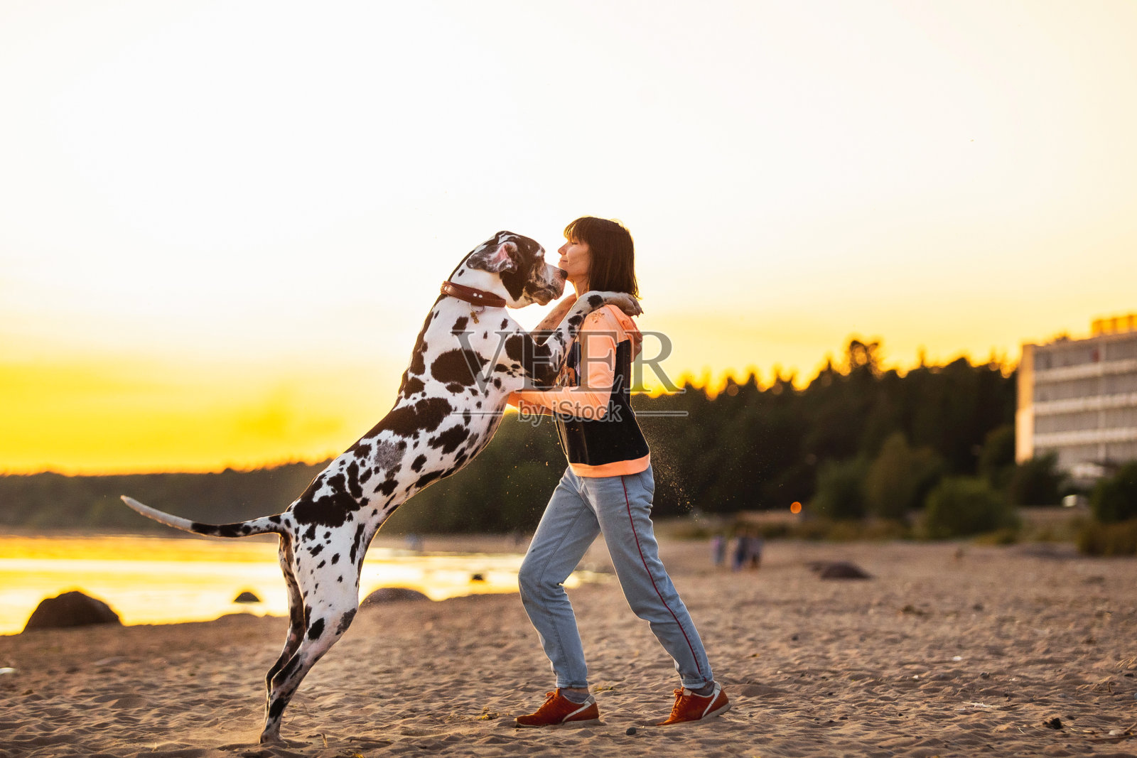 快乐的女人在沙滩上和狗一起跑步照片摄影图片