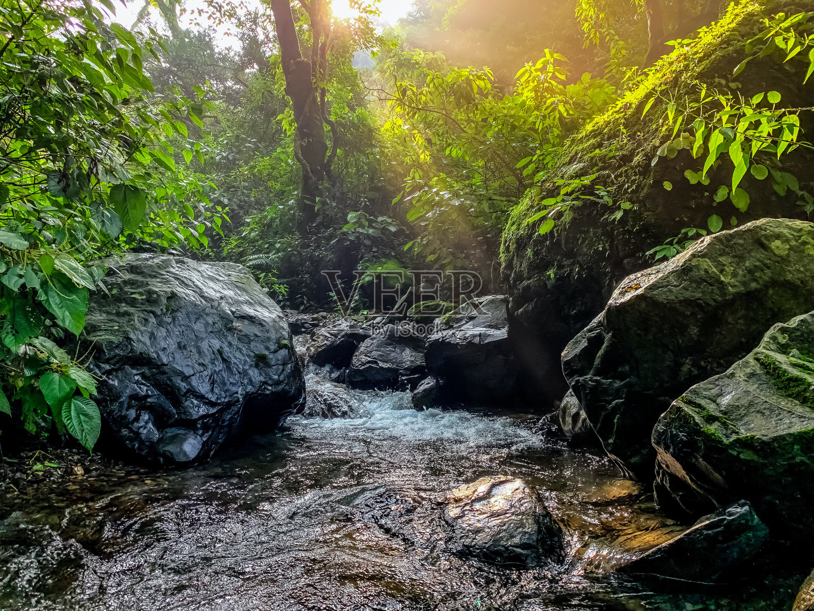 美丽的阳光风景达诺提山北阿坎德邦印度照片摄影图片