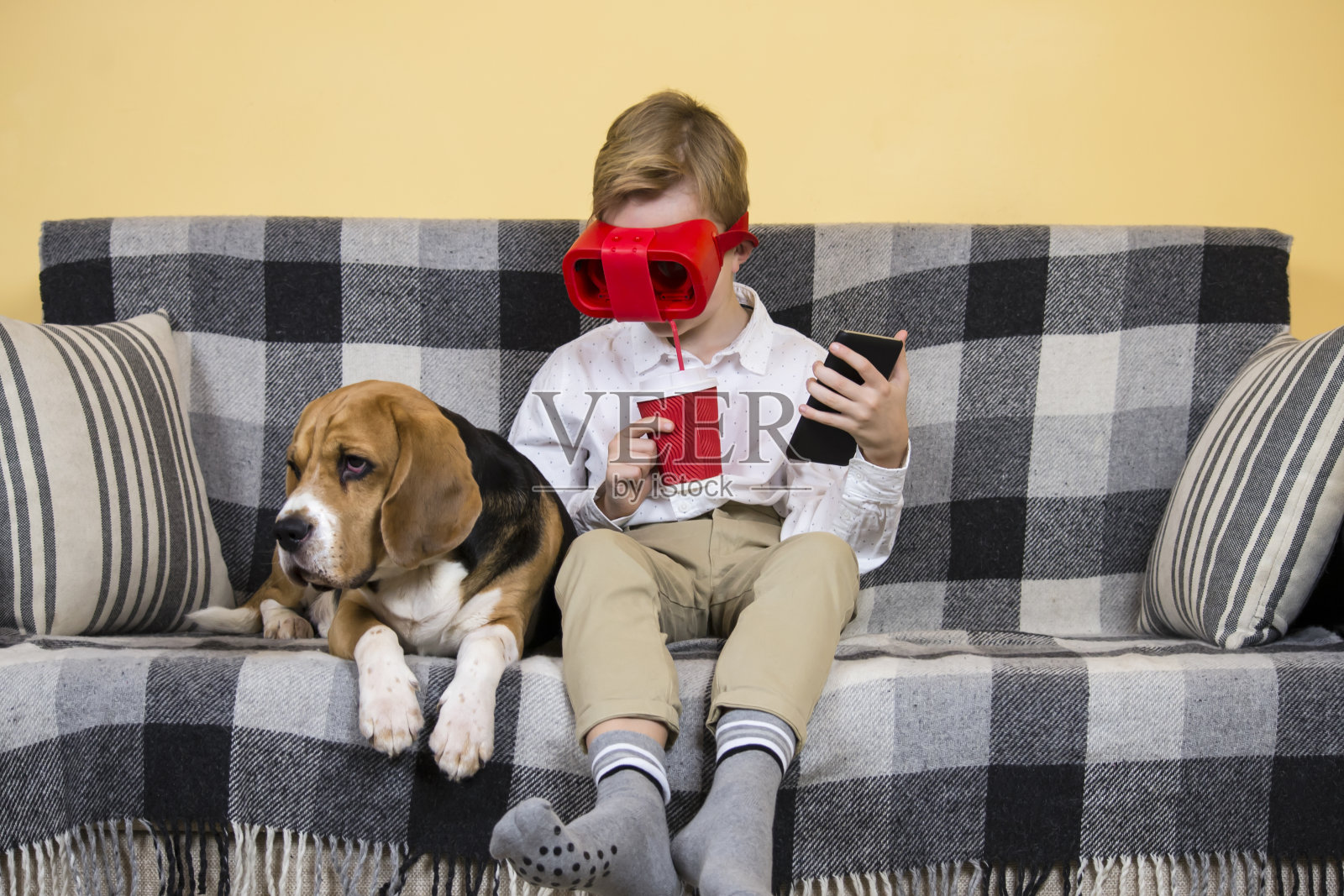 戴着VR眼镜看手机的男孩和有趣的米格鲁猎犬照片摄影图片