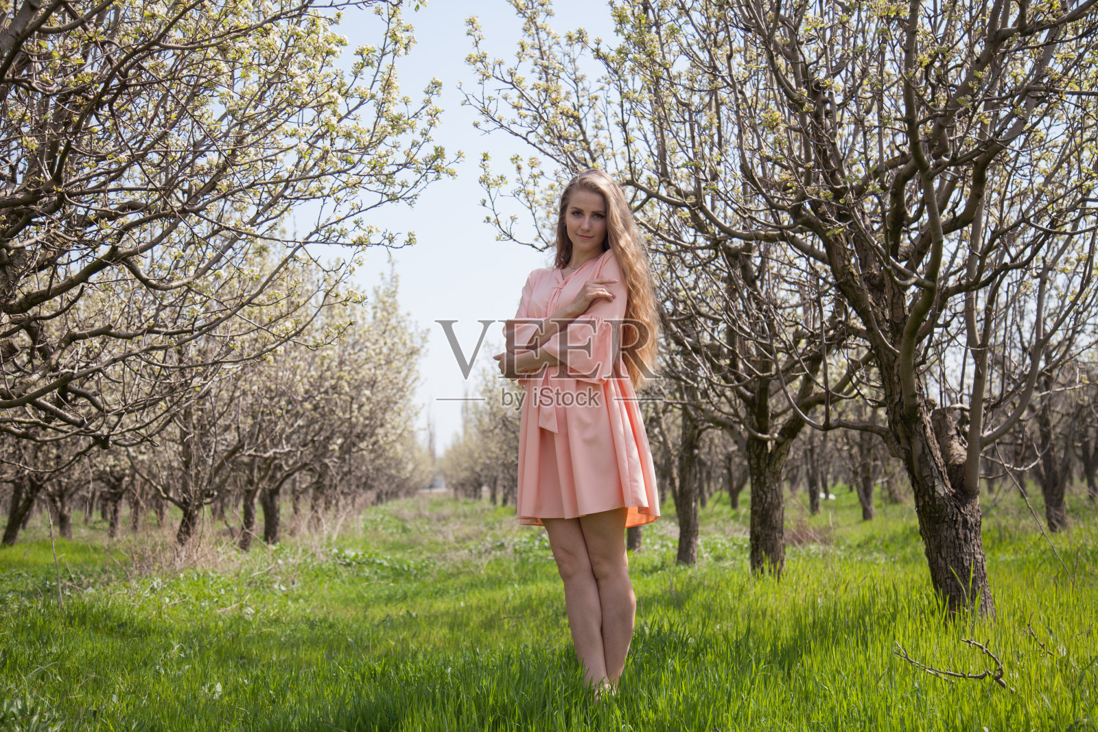 穿着粉色连衣裙的金发美女走在开满鲜花的花园里照片摄影图片