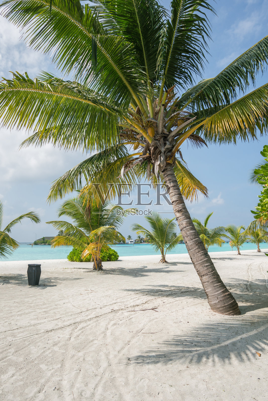 热带天堂海滩照片摄影图片