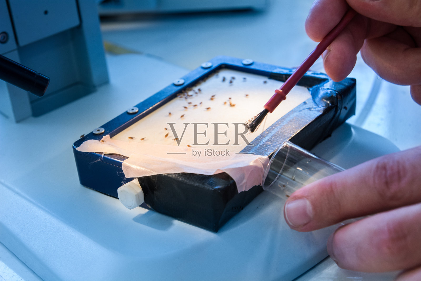 生物学研究实验室病毒感染测试照片摄影图片