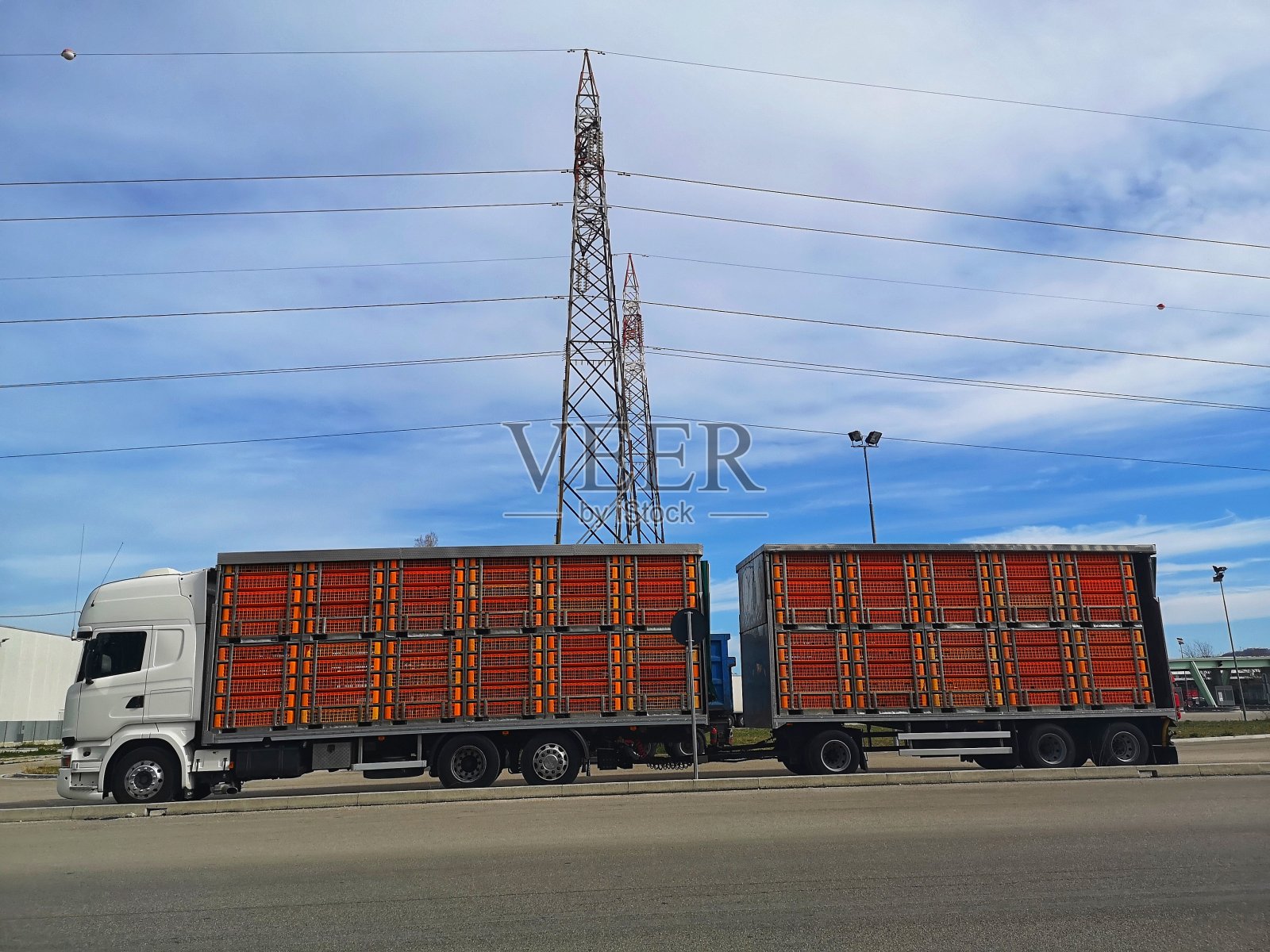 用于运输活体动物的铰接式卡车照片摄影图片