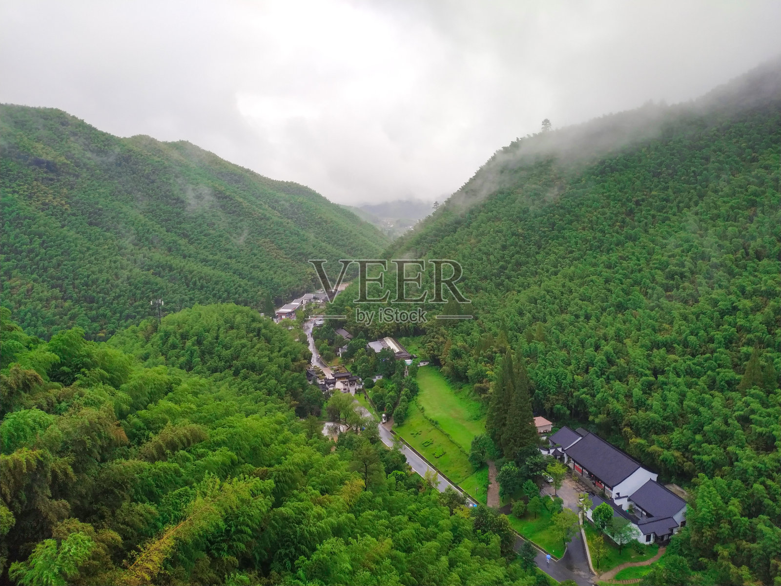 鸟瞰图竹林在山谷与云在雨天白天照片摄影图片