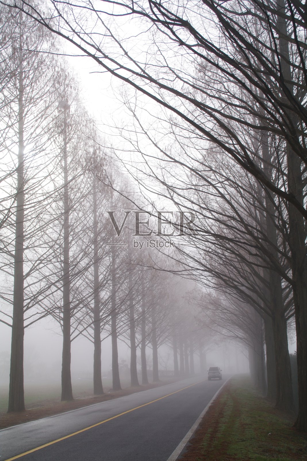 韩国济南县Bugwi-myeon Metasheqwaiya路照片摄影图片