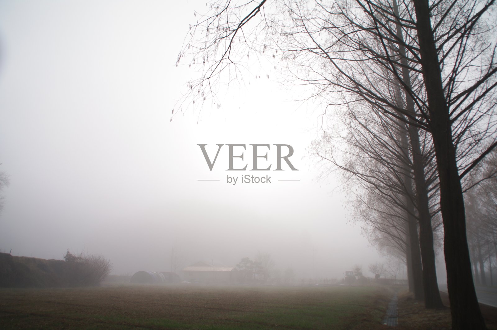 韩国济南县Bugwi-myeon Metasheqwaiya路照片摄影图片