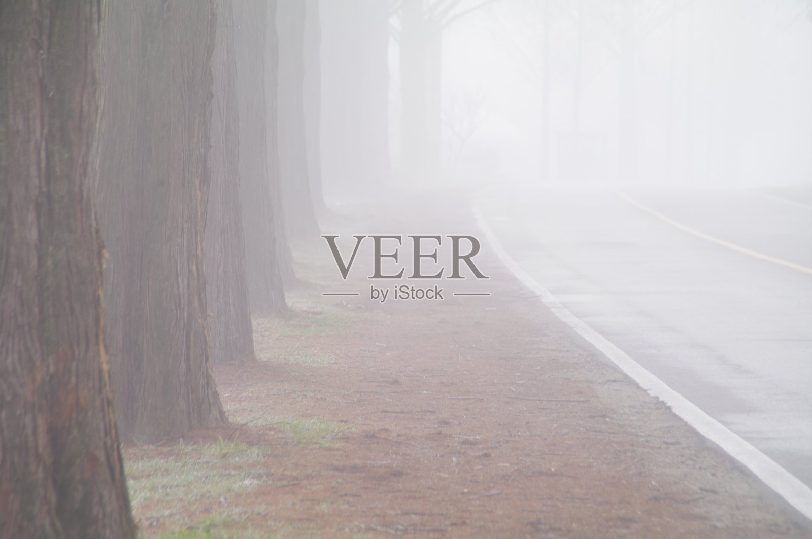 韩国济南县Bugwi-myeon Metasheqwaiya路照片摄影图片