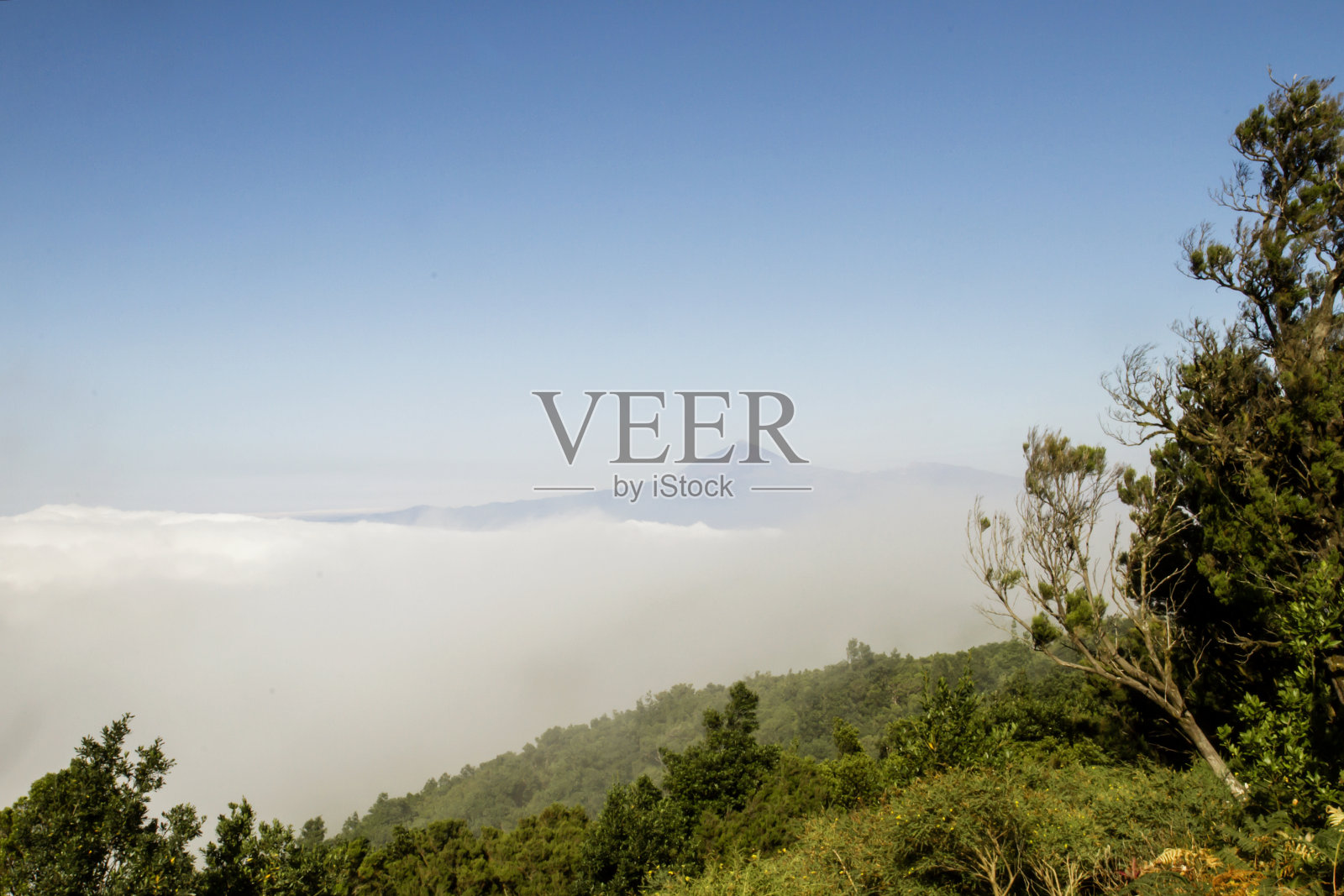 加那利群岛的信风照片摄影图片