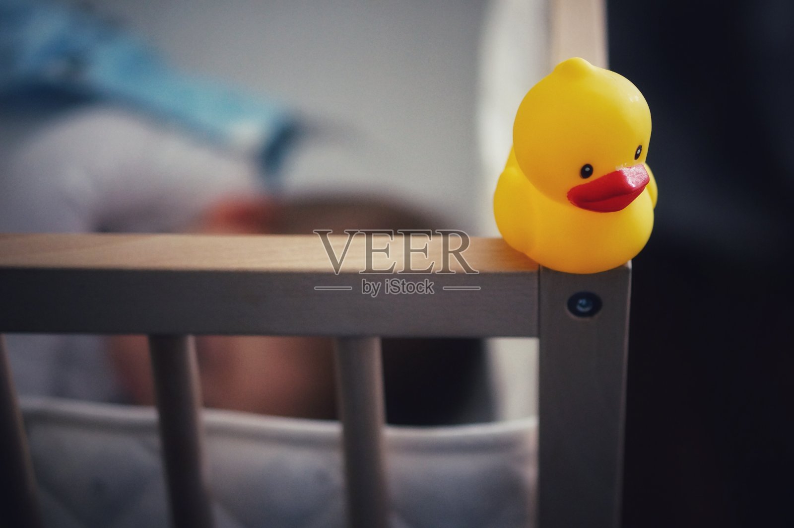 小鸭子在婴儿床里睡觉照片摄影图片