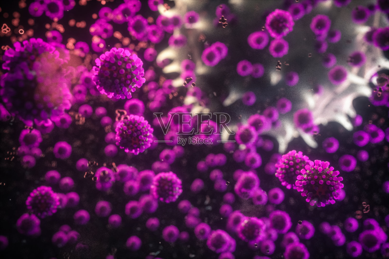 冠状病毒照片摄影图片