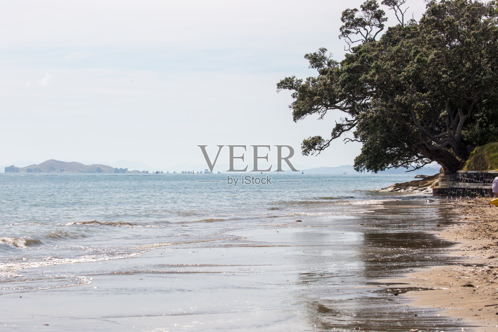 新西兰:圣伦纳兹湾照片摄影图片