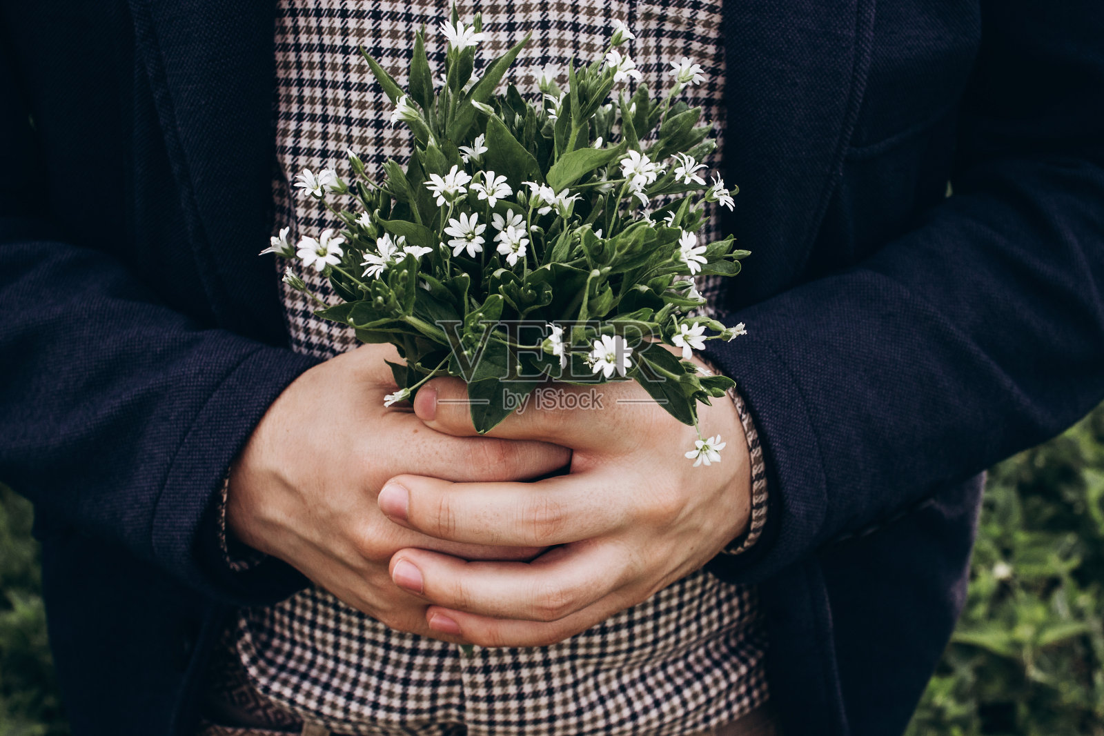 拿着野花的时尚时髦男人在阳光明媚的乡村，文本空间，手中拿着简单花朵的乡村新郎，美好瞬间，保护环境照片摄影图片