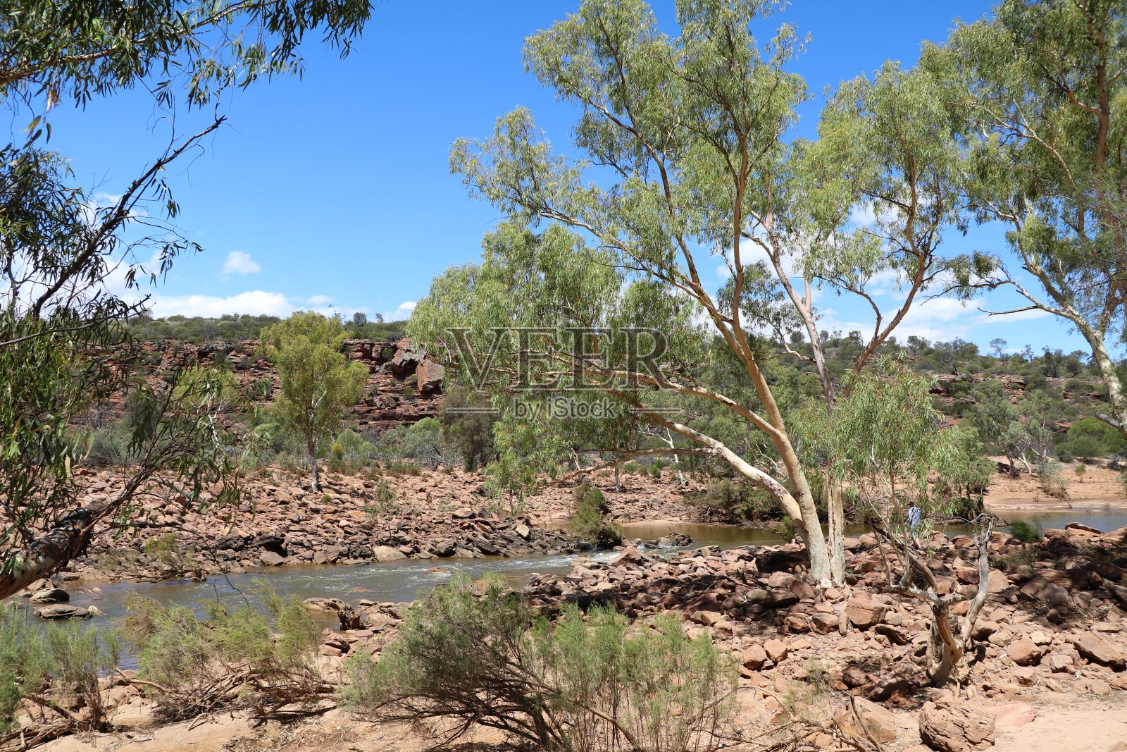 默奇森河峡谷的卡尔巴里国家公园，西澳大利亚照片摄影图片