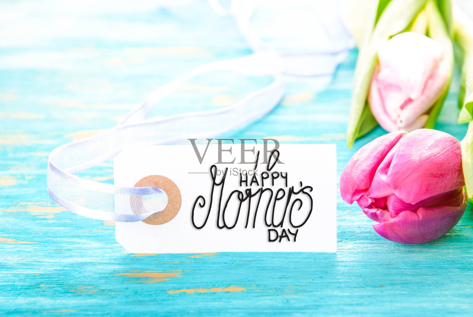 用书法写的标签母亲节快乐。紫色郁金香花朵照片摄影图片