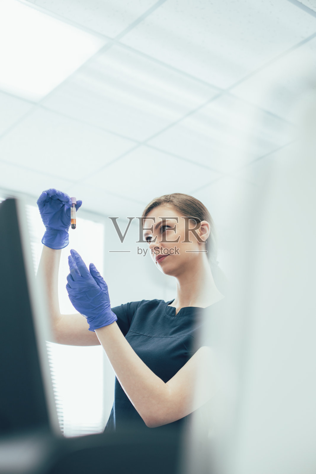 严肃的实验室工作人员分析血液样本库存照片照片摄影图片