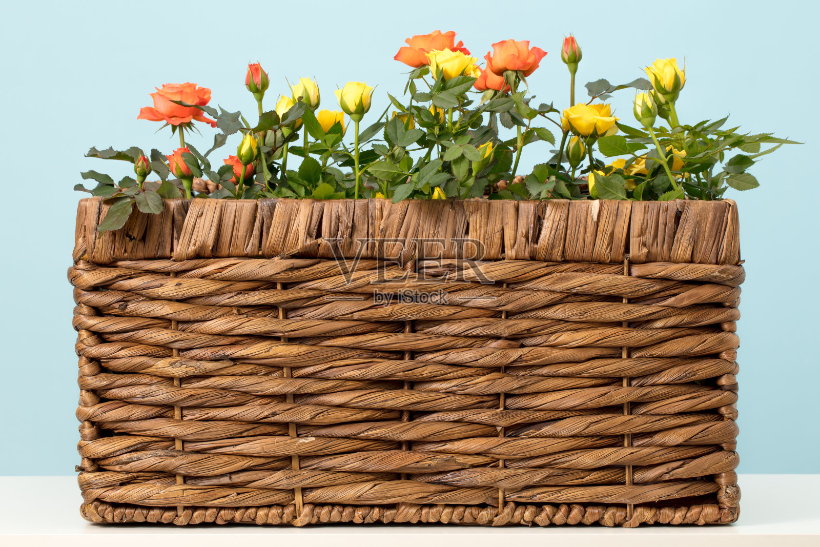 编织篮子里的玫瑰照片摄影图片