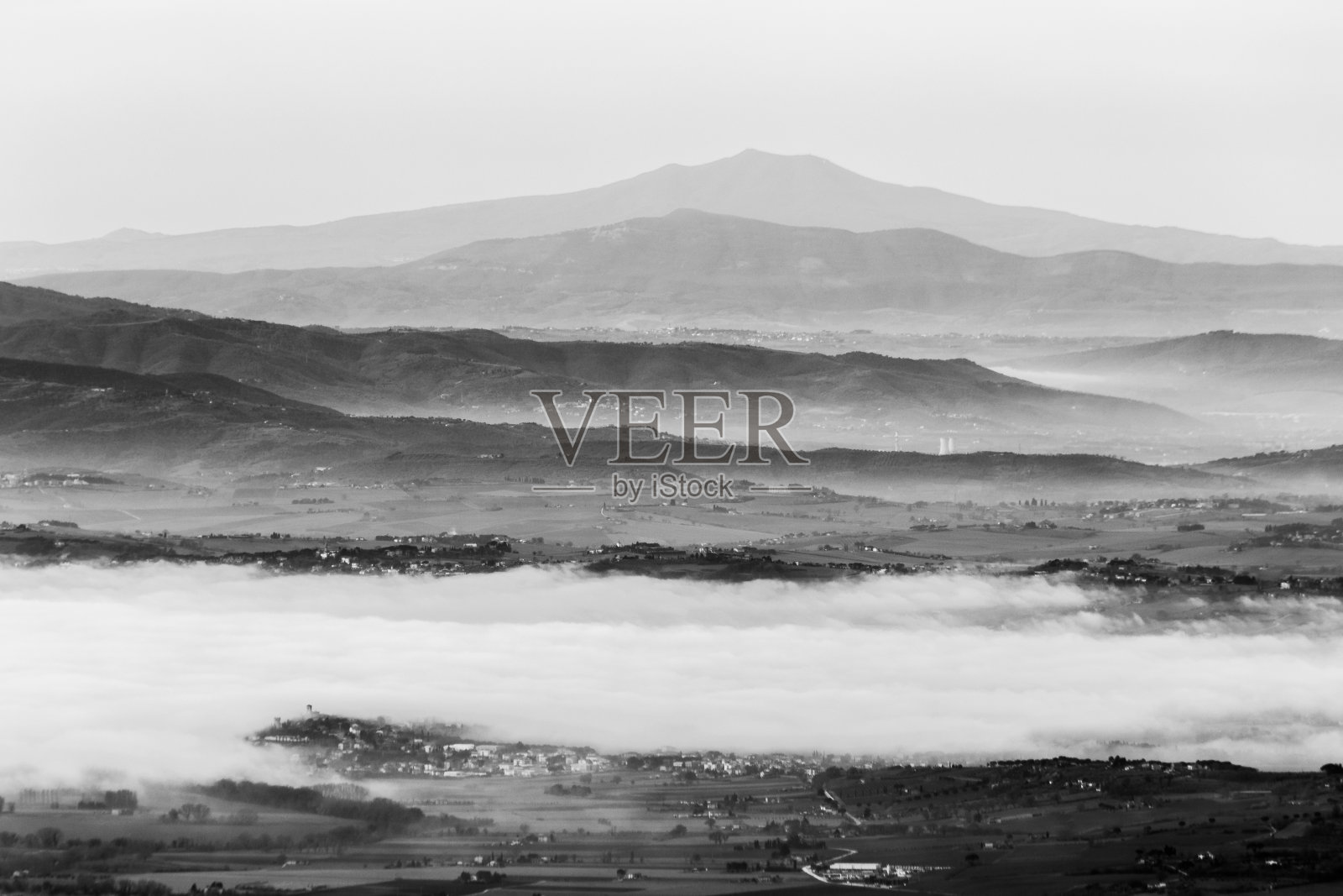 雾海和雾之间的层层山和小山，与一棵树的前景照片摄影图片