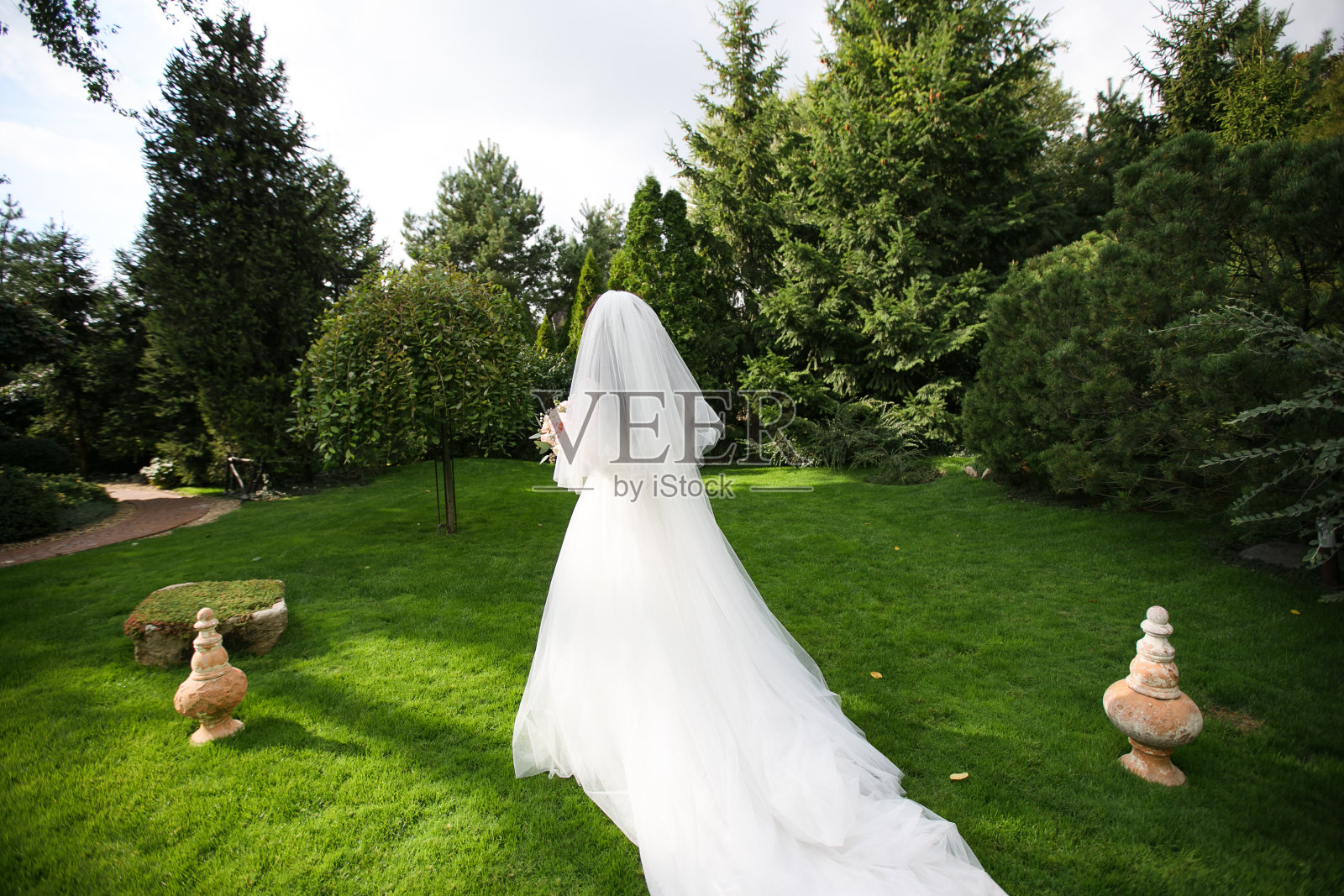 穿着白色婚纱的新娘在绿色草坪上的背影照片摄影图片