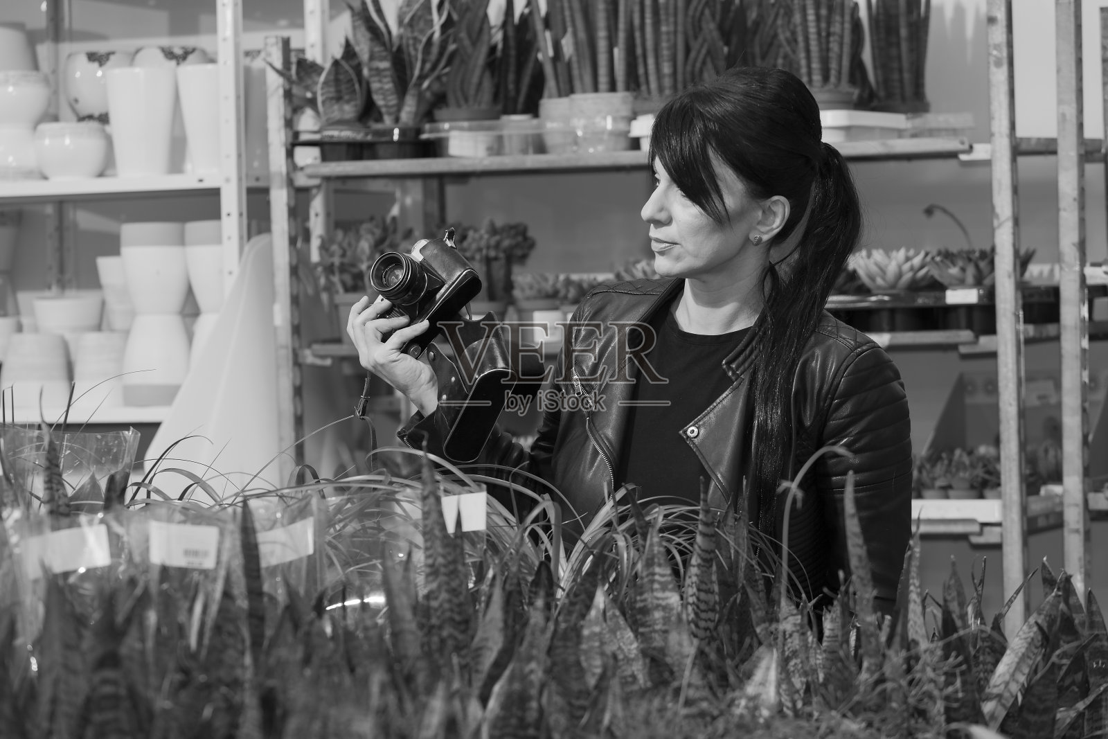 拍摄鲜花的漂亮女孩照片摄影图片