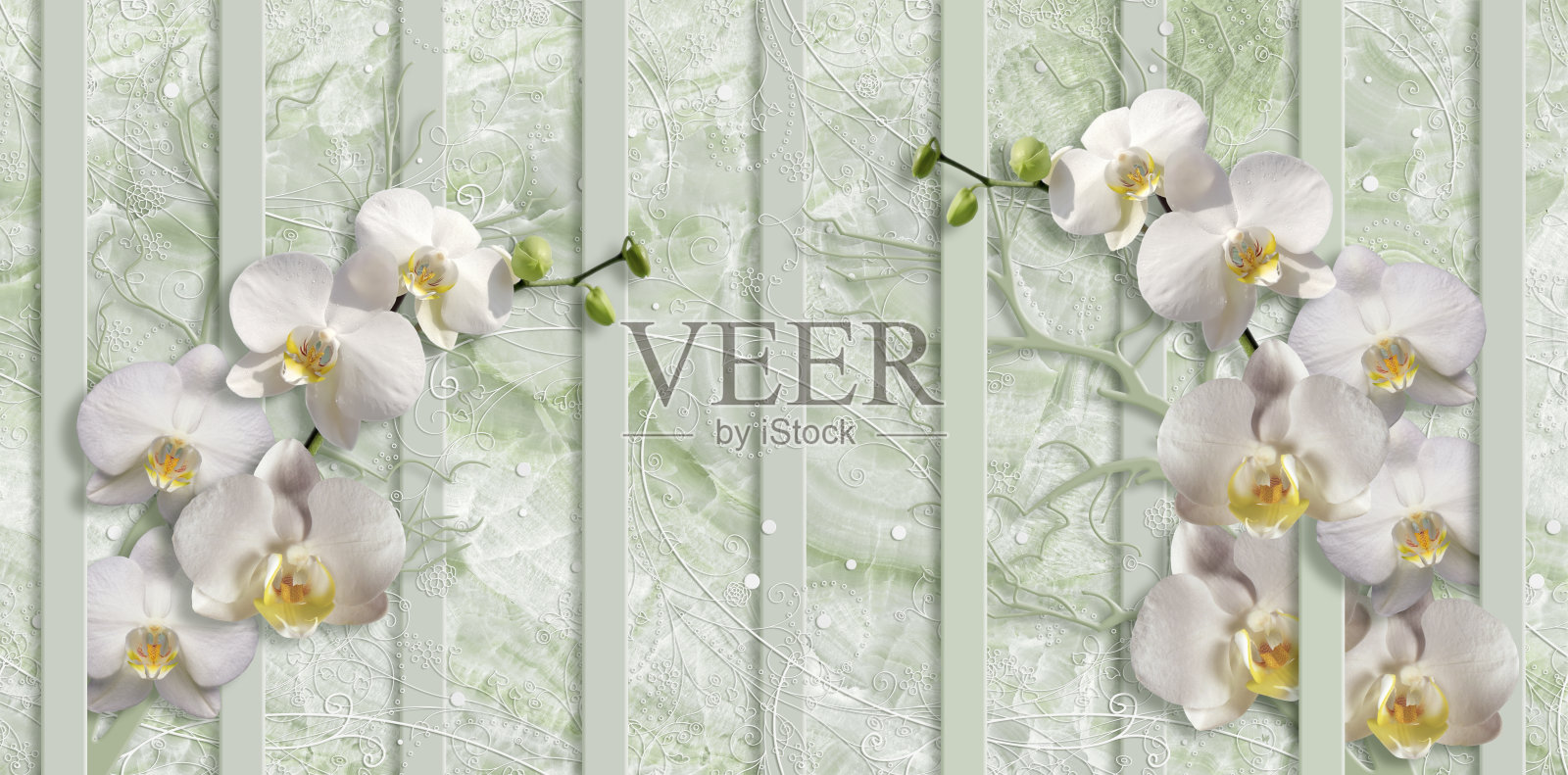 3d墙纸，白色兰花在浅绿色的大理石背景照片摄影图片
