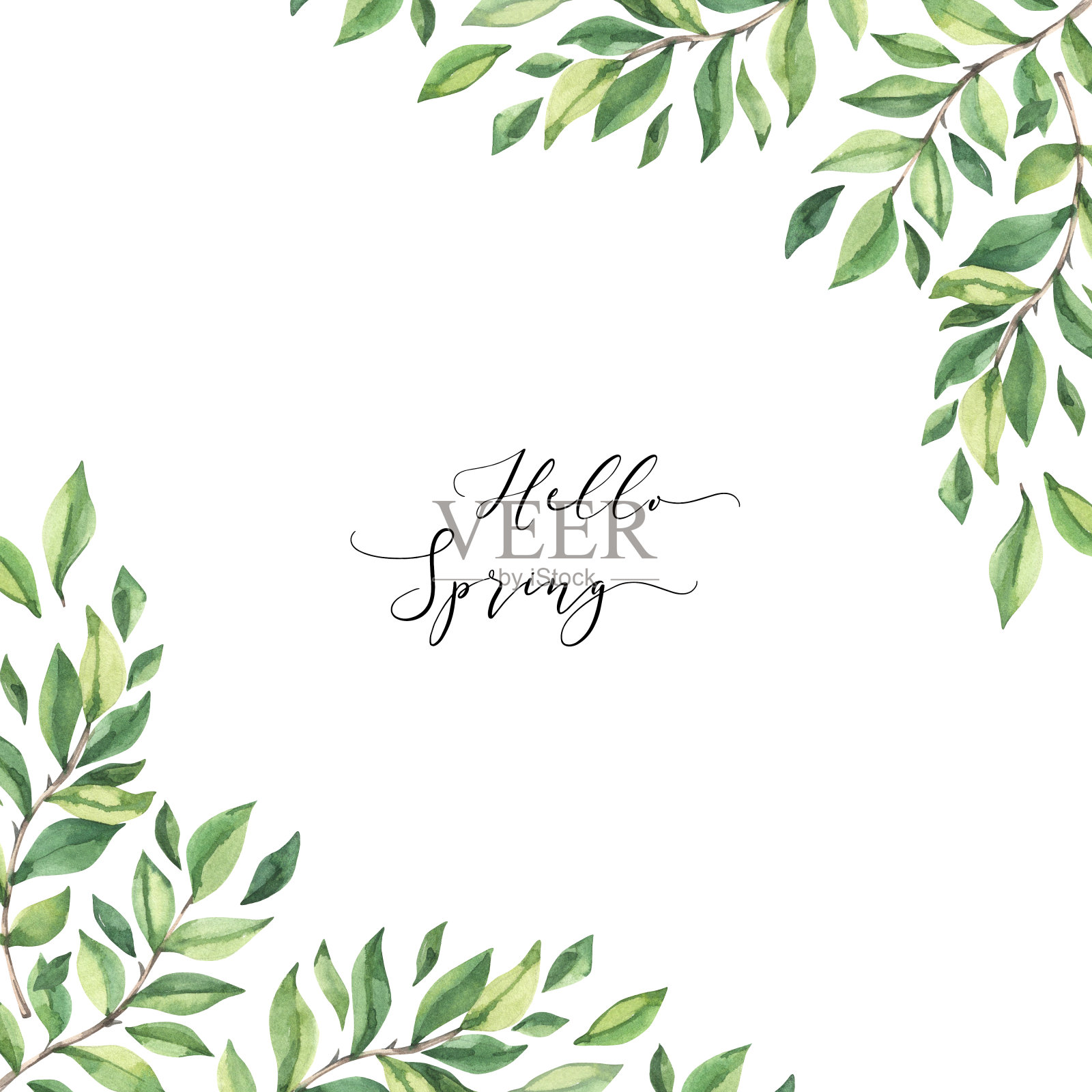 手绘水彩插图。由植物春季的枝叶组成。绿色植物。花的设计元素。完美的婚礼邀请函，卡片，印刷品，海报插画图片素材