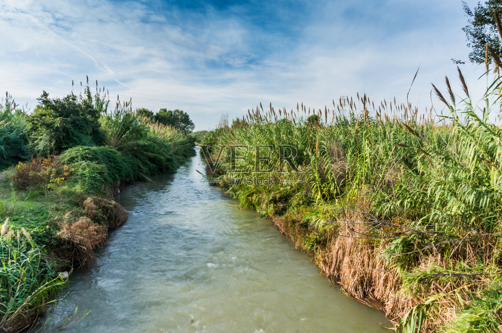 巴伦西亚的图里亚河上有植被，蓝天白云照片摄影图片