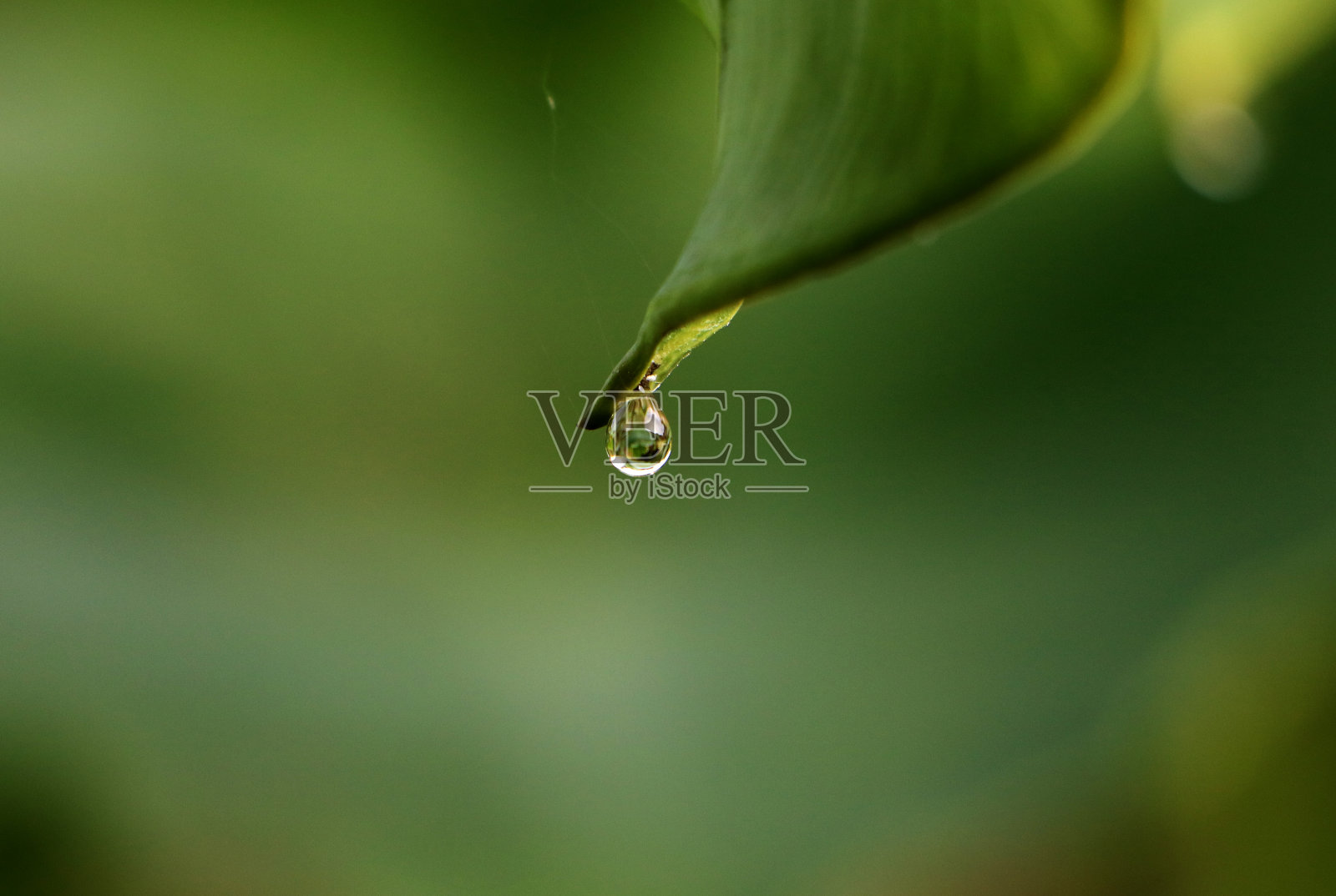 纯水照片摄影图片