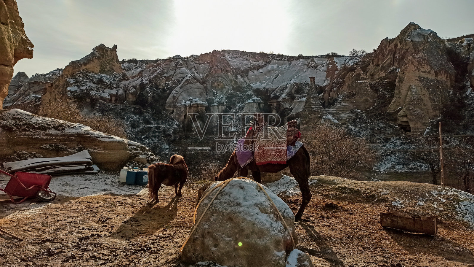 土耳其卡帕多西亚格雷梅的马和小马照片摄影图片