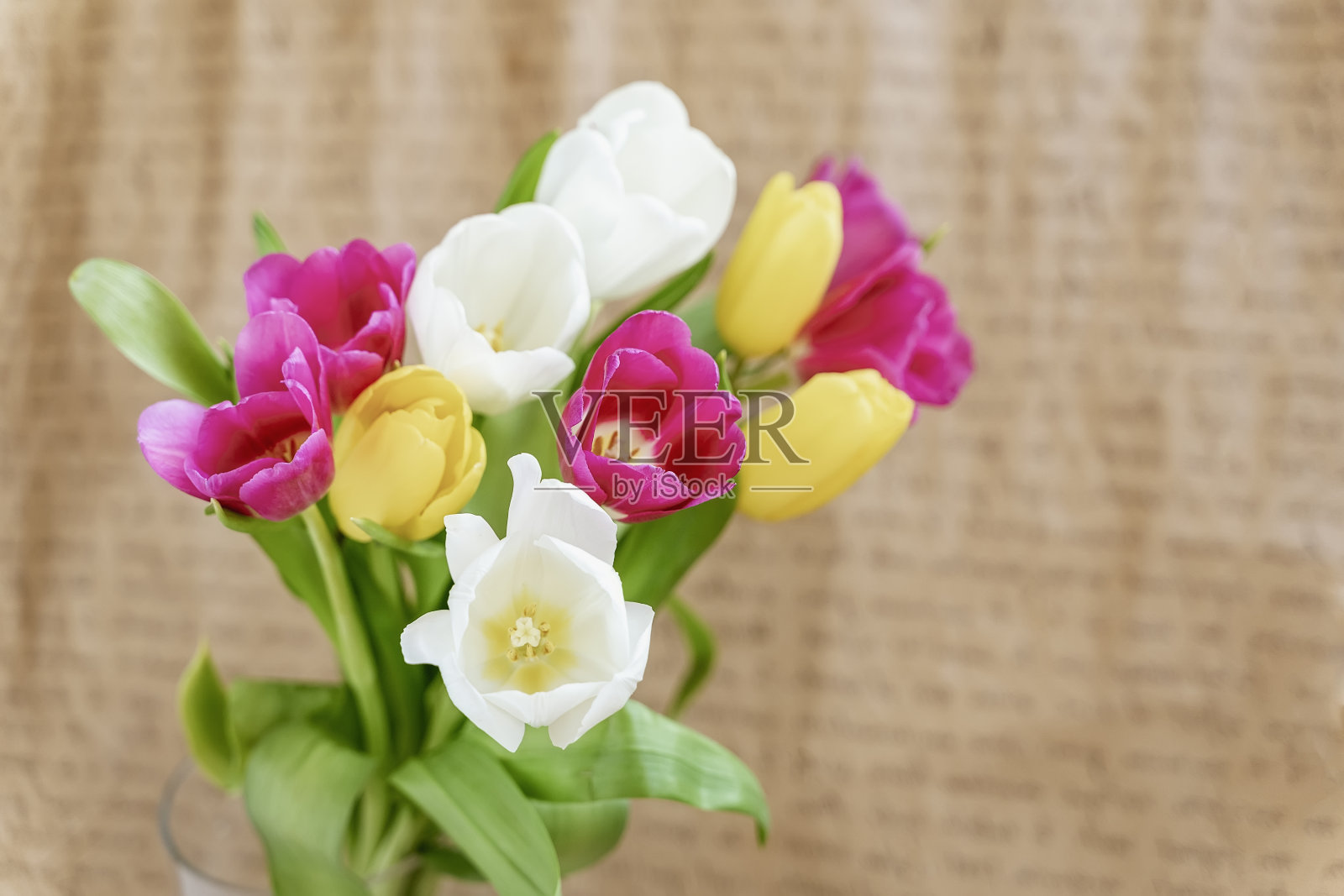 一束彩色的郁金香，鲜花特写在复古的背景。春天的概念，节日和礼物照片摄影图片