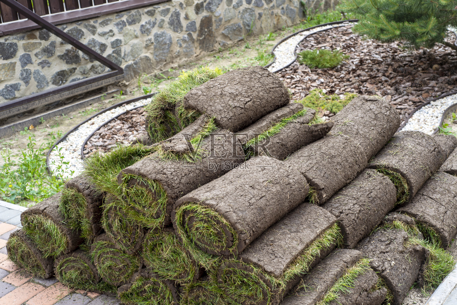 铺在新草坪上的草皮卷照片摄影图片