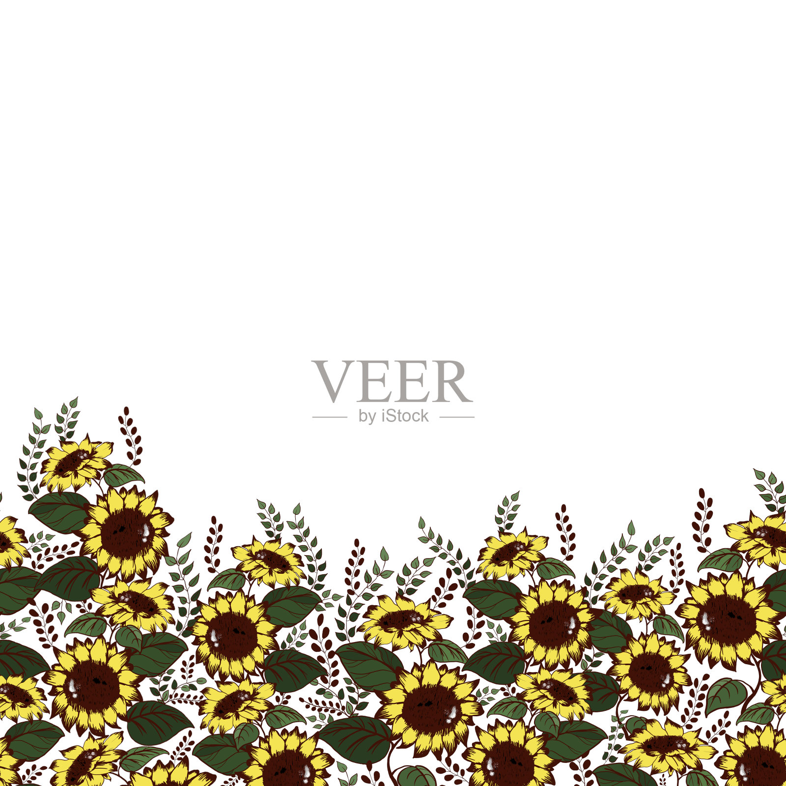 无缝图案的边框与向日葵和草插画图片素材