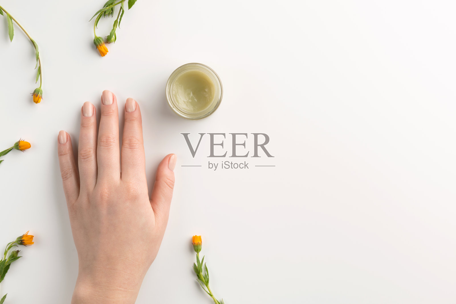 有机化妆品的概念。金盏花，女性手和化妆品霜孤立，白色背景。平铺，俯视图，拷贝空间。照片摄影图片