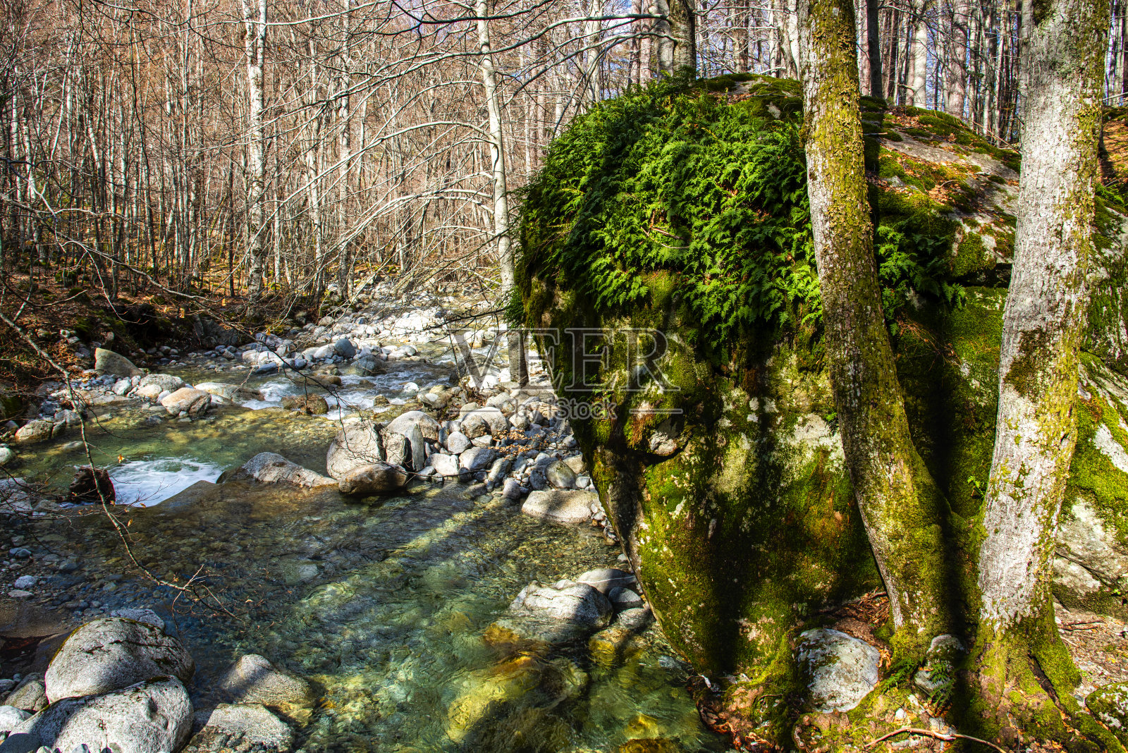 山洪流照片摄影图片
