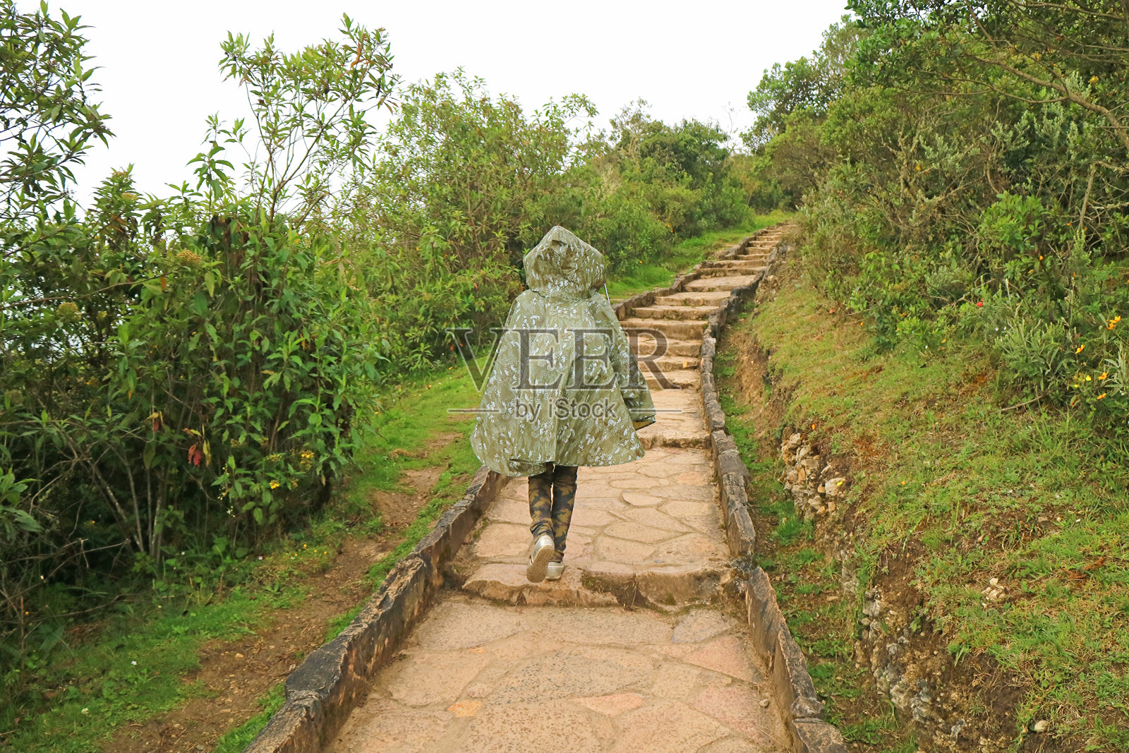 女游客冒雨走在石板路上，前往秘鲁北部亚马逊地区的库埃拉普考古遗址照片摄影图片